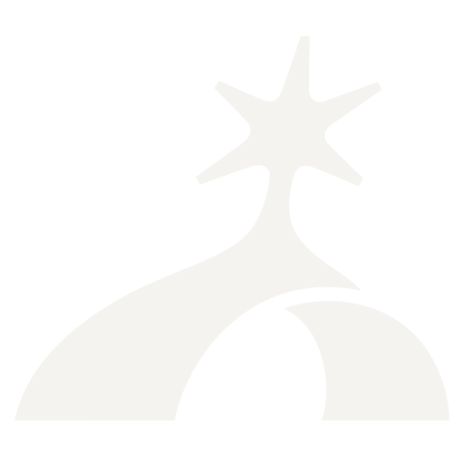 Cowboy Space logo